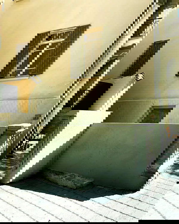 noa_zemlyanski noa_zemlyanski archive image