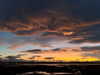 solzarubin_ Altpins Profile Picture