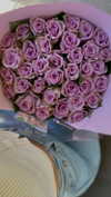 shanidahan7 Altpins Profile Picture