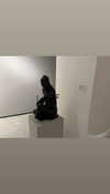 valeria.potti Altpins Profile Picture