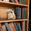 madelame Altpins Profile Picture