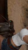 payton.r Altpins Profile Picture