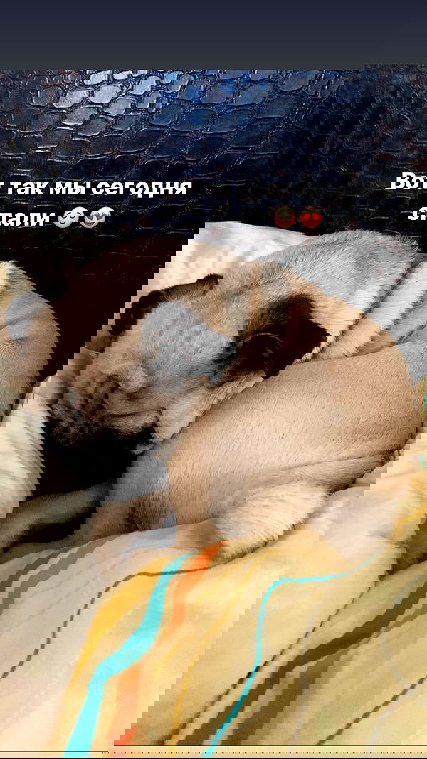 nyityam nyityam archive image