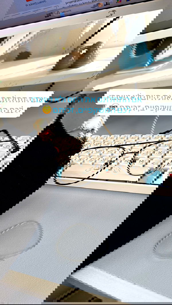 biton__adi biton__adi archive image