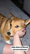 missbrisolo Altpins Profile Picture