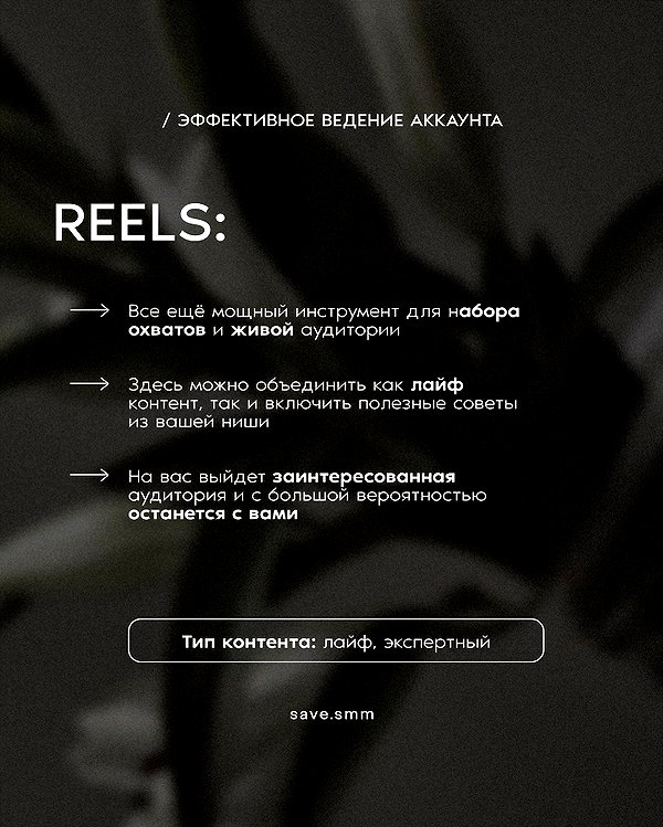levsave instagram image archive image