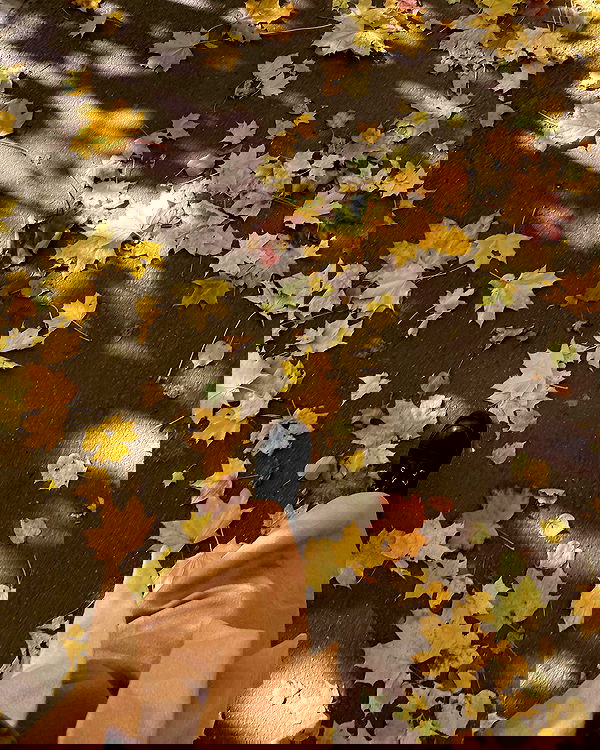 kkulakovaa image ~ Altpins