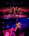 avrillavigne Altpins Profile Picture