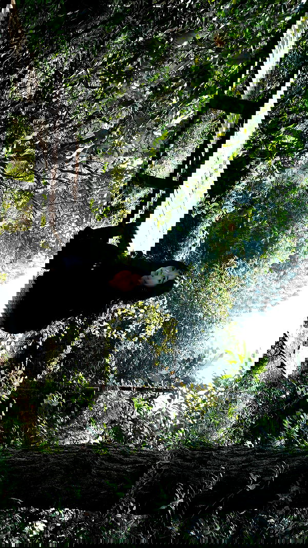 tgiangya image ~ Altpins