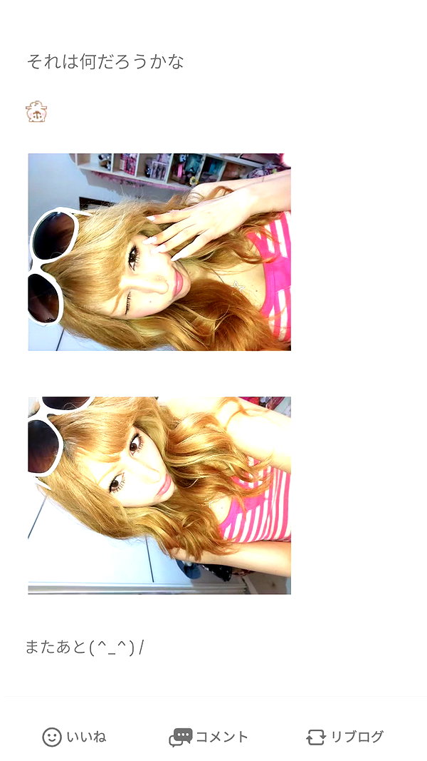 piyokoblog archive image