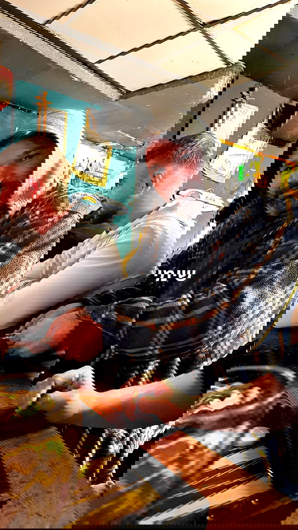 assoolin assoolin archive image