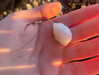 anesa.zm Altpins Profile Picture