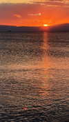 noa_mendel_ Altpins Profile Picture