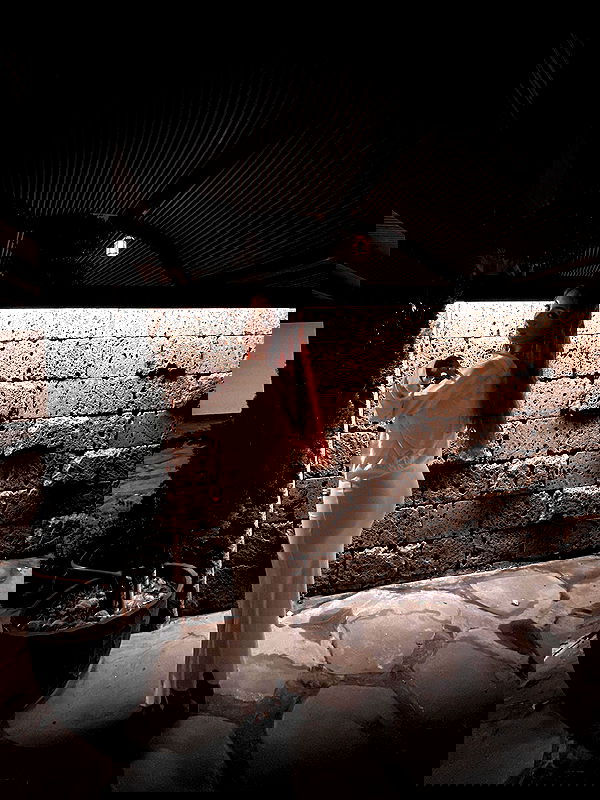 _lil_noa_ _lil_noa_ archive image