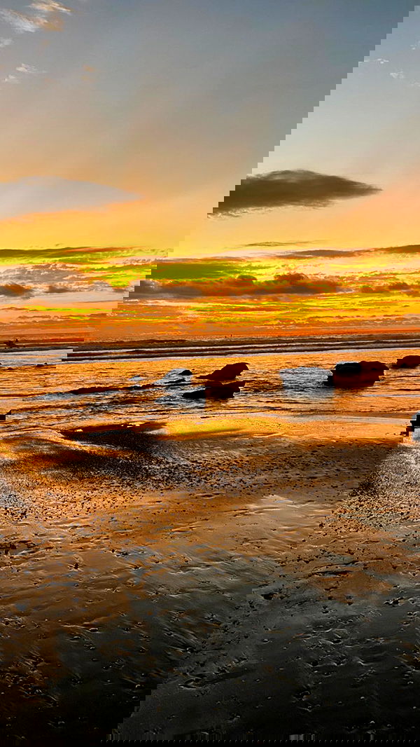 taylor.creeden taylor.creeden archive image