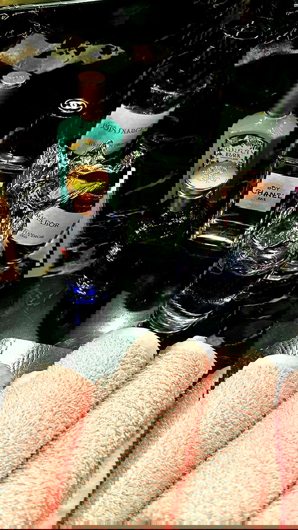 taylor.creeden taylor.creeden archive image