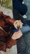 annabottoo Altpins Profile Picture