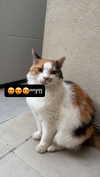 eitan.420 Altpins Profile Picture