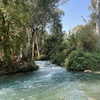 maori_cohen Altpins Profile Picture