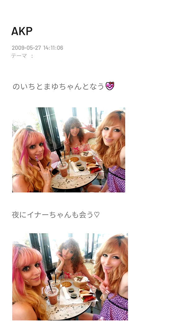 piyokoblog archive image