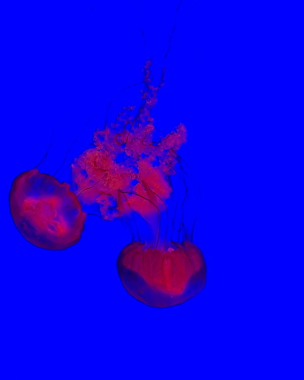 1uvgabi instagram image archive image