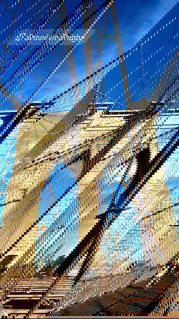 taylor.creeden taylor.creeden archive image