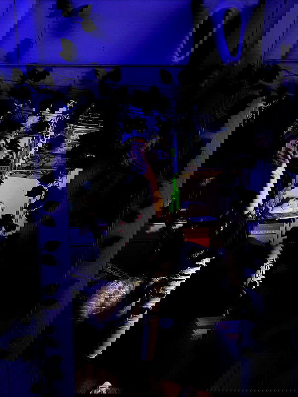 _animechika_ _animechika_ archive image