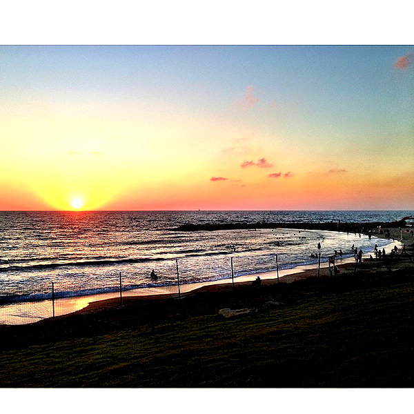 adihimelbloy instagram image archive image