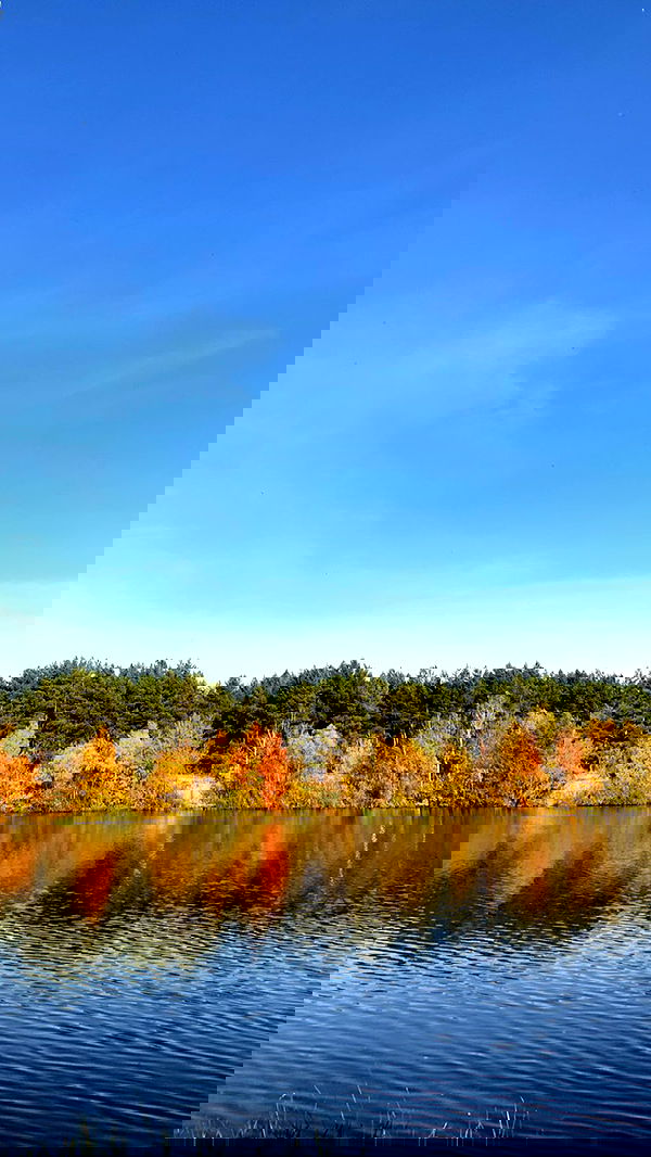 nyityam nyityam archive image