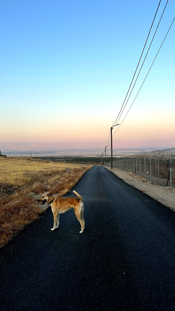 dashka.naz instagram image archive image