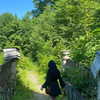 _dead__cherry_ Altpins Profile Picture