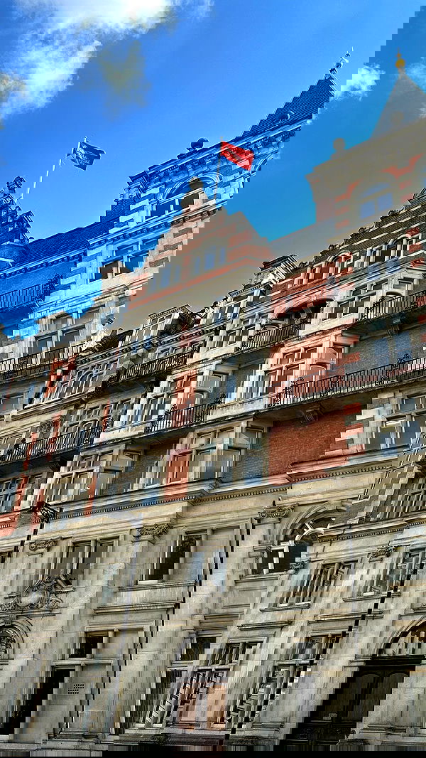 taylor.creeden taylor.creeden archive image