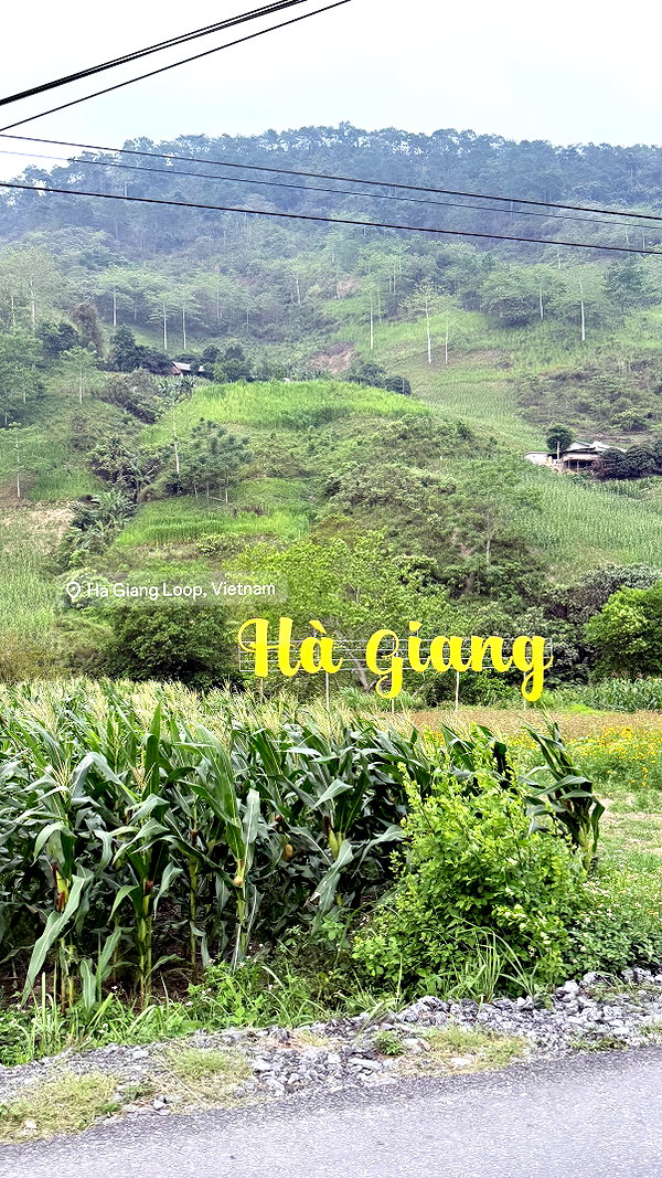 kesemgreenyer instagram image archive image