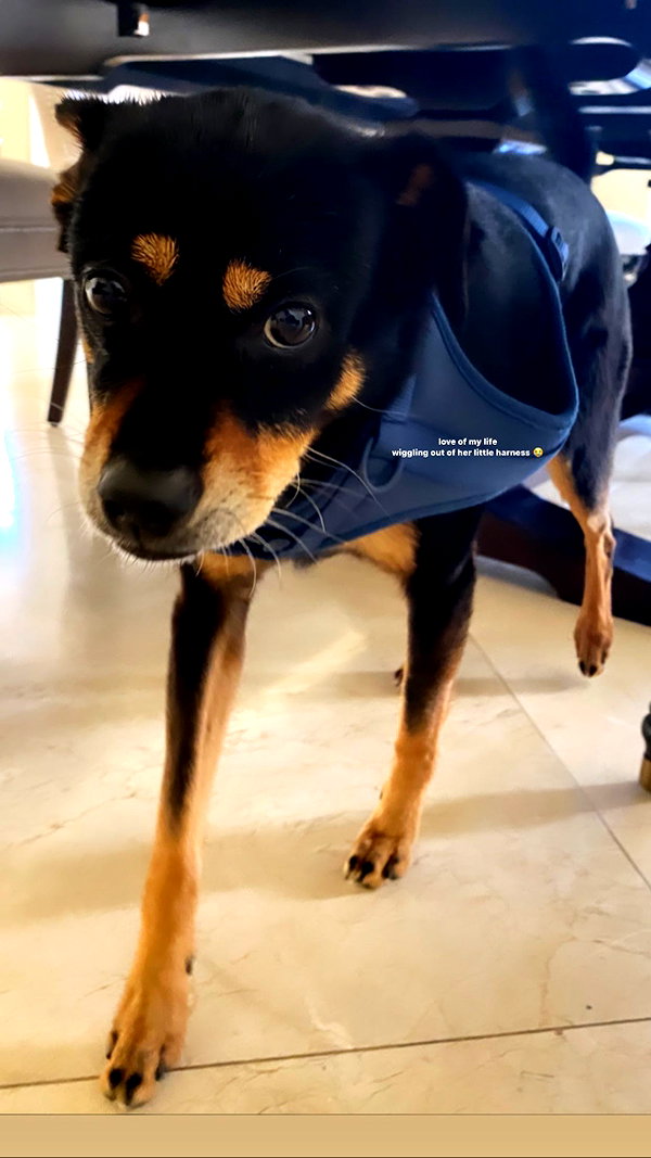 arianagrande instagram image archive image