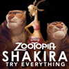 shakira Altpins Profile Picture