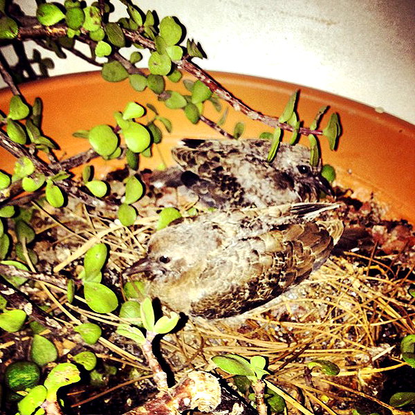 adihimelbloy instagram image archive image