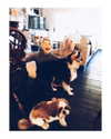 katehudson Altpins Profile Picture