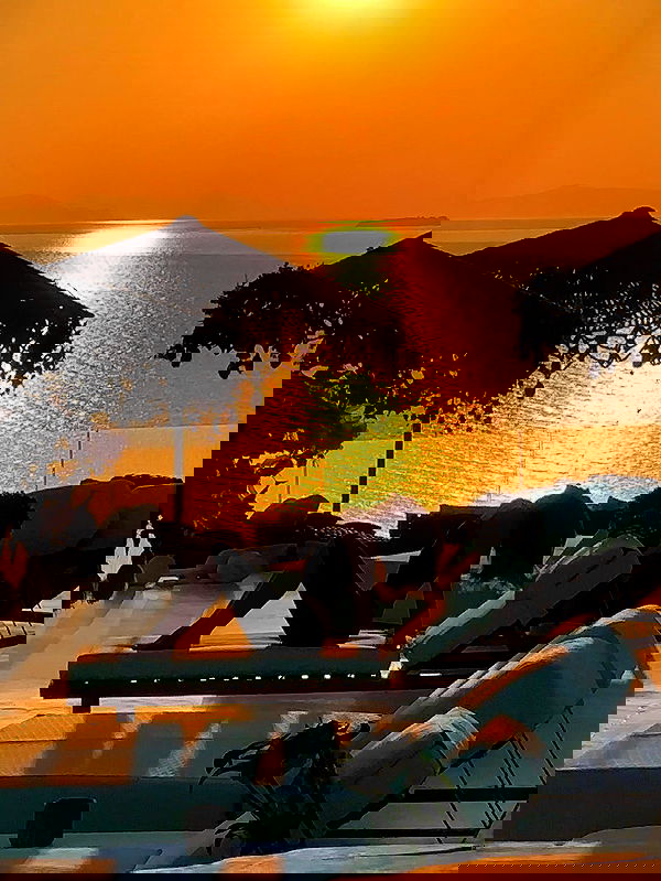 taylor.creeden taylor.creeden archive image