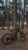 ker888nyz Altpins Profile Picture