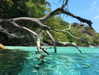 gritsa.k Altpins Profile Picture