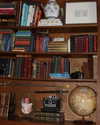 elizabethcampbelljones Altpins Profile Picture