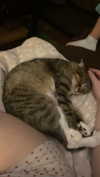 olivia.bolgerr Altpins Profile Picture