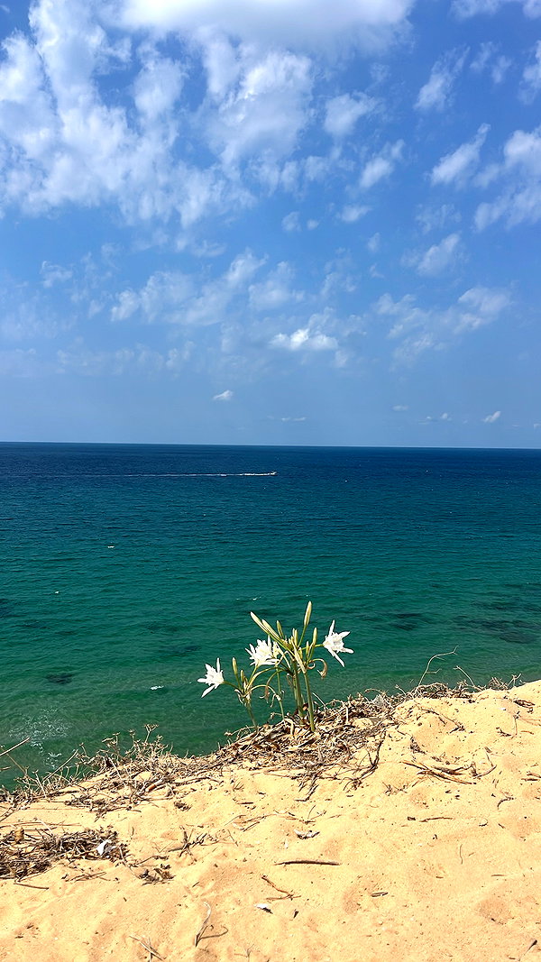 yaelxyazdi instagram image archive image