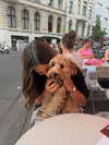 sophiecharlotth Altpins Profile Picture