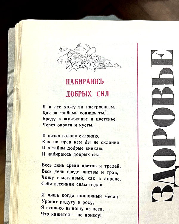 stranstviepera instagram image archive image