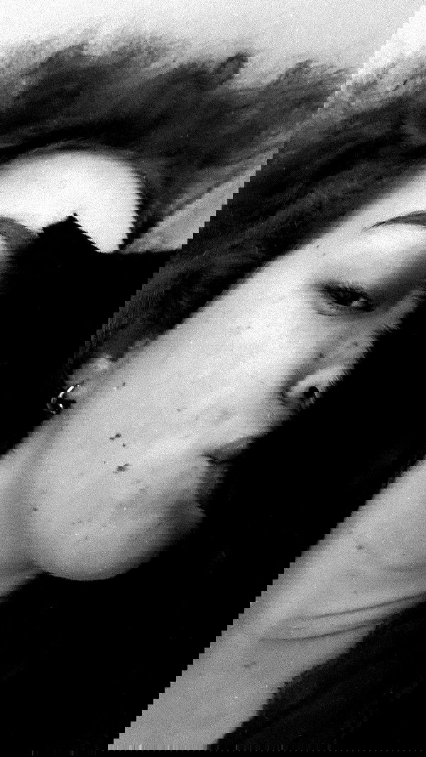 mishel116 mishel116 archive image