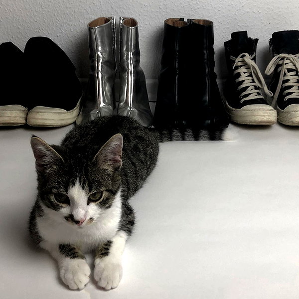 djbabysosh instagram image archive image