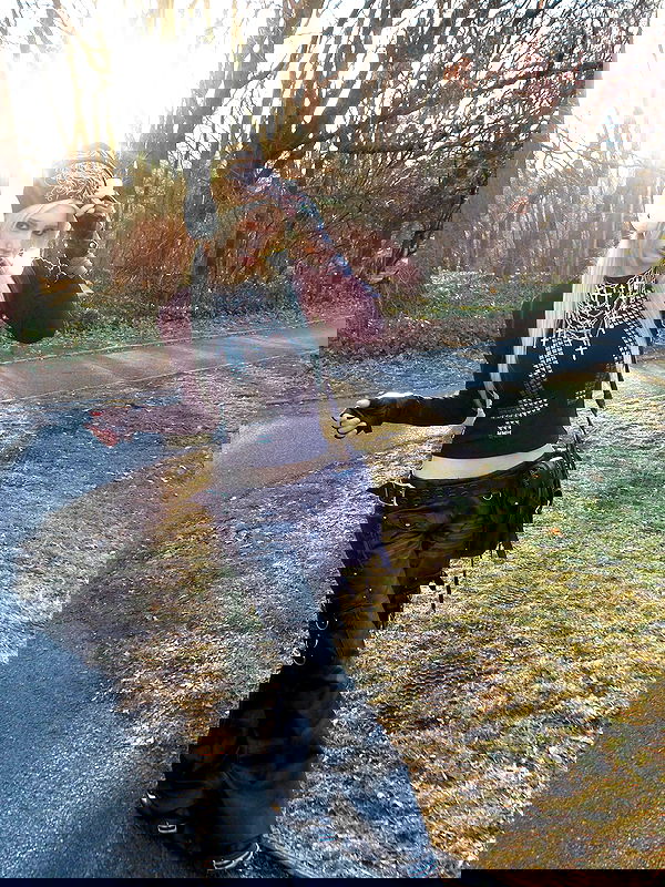 rchhhll rchhhll archive image