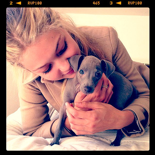 gigihadid instagram image archive image