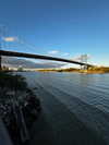 jeanlouiee Altpins Profile Picture